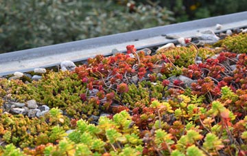 the cost of Colshaw green roof installation
