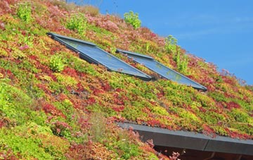 Colshaw living roof systems